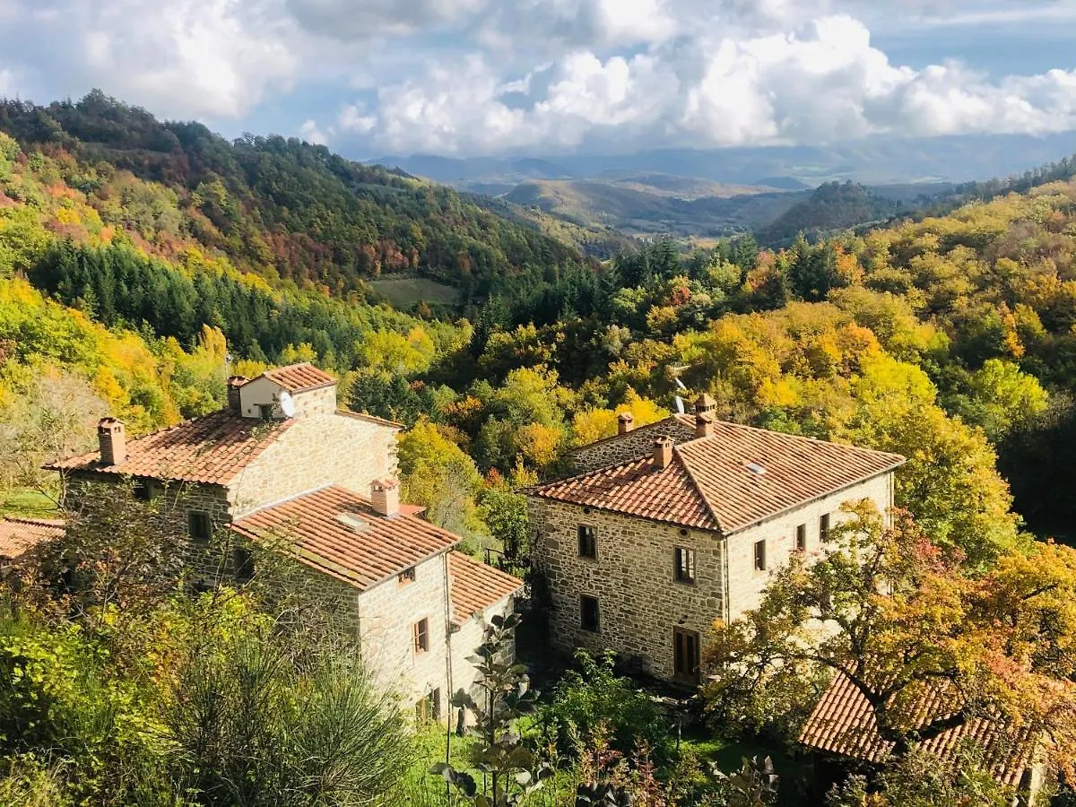 Bio Agriturismo Il Vigno Caprese Michelangelo