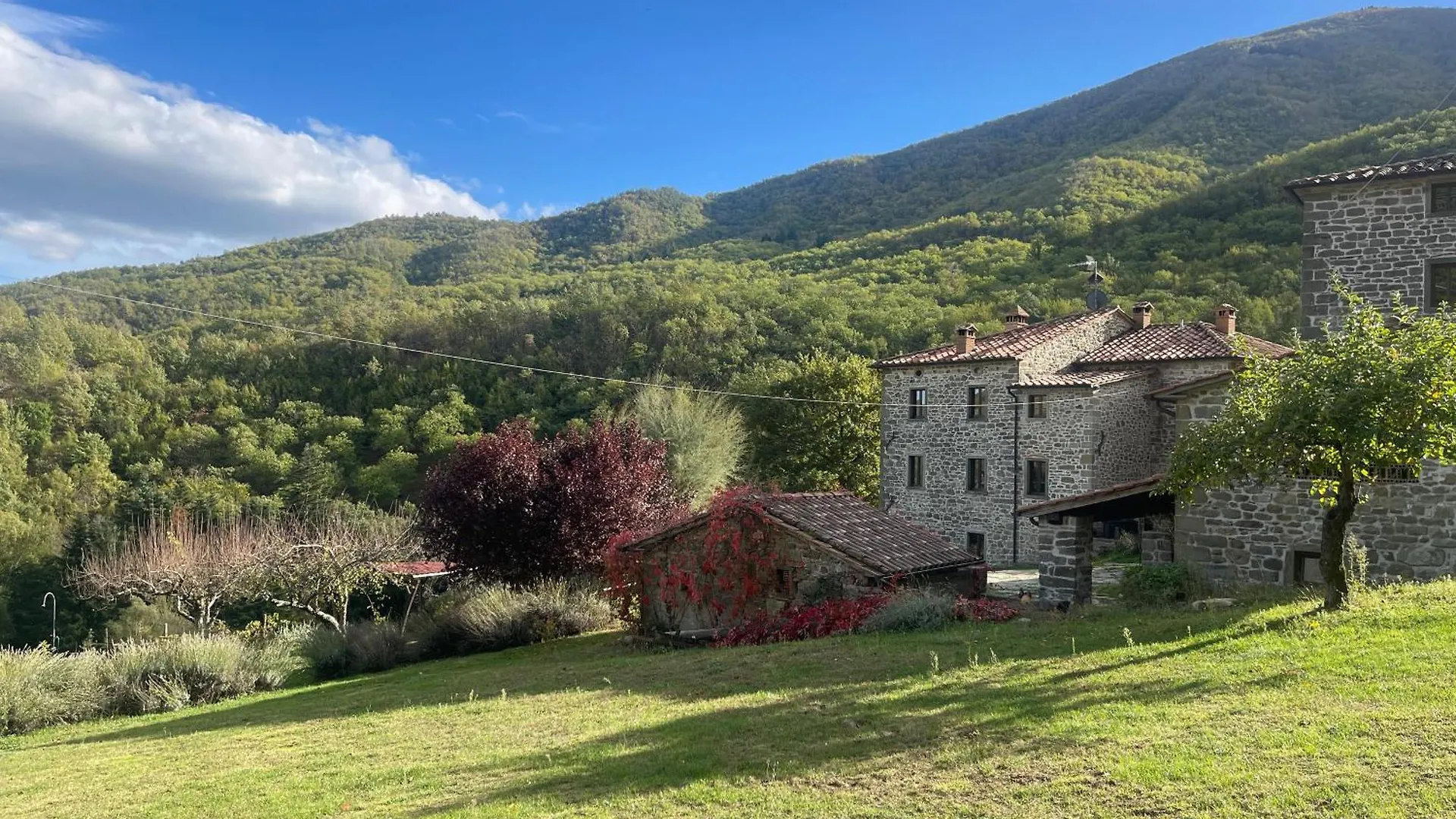 Bio Agriturismo Il Vigno Caprese Michelangelo 0*,  Italy