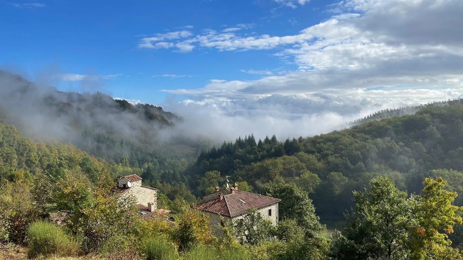 Country house Bio Agriturismo Il Vigno Caprese Michelangelo Italy