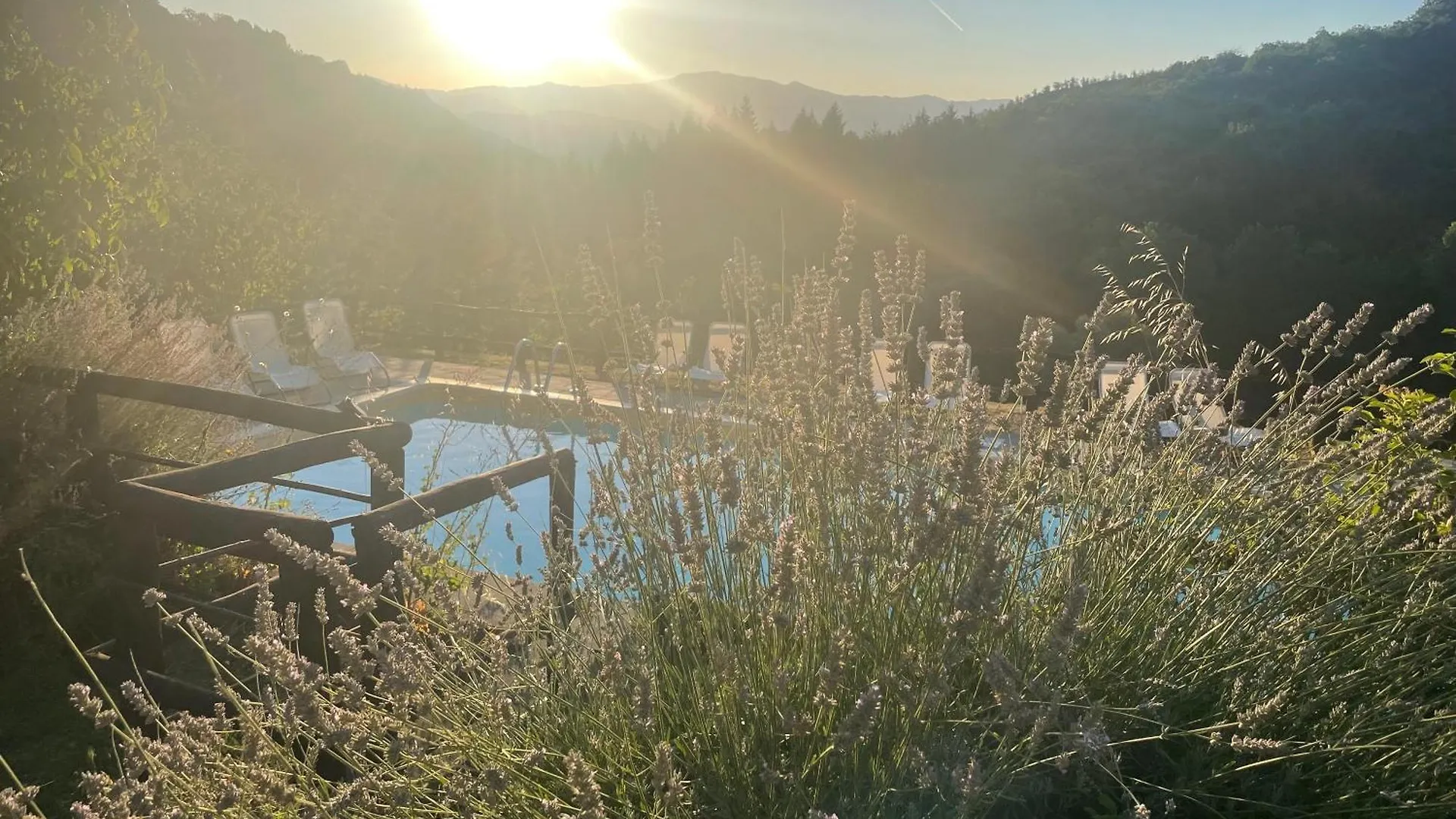 Bio Agriturismo Il Vigno Caprese Michelangelo 0*,