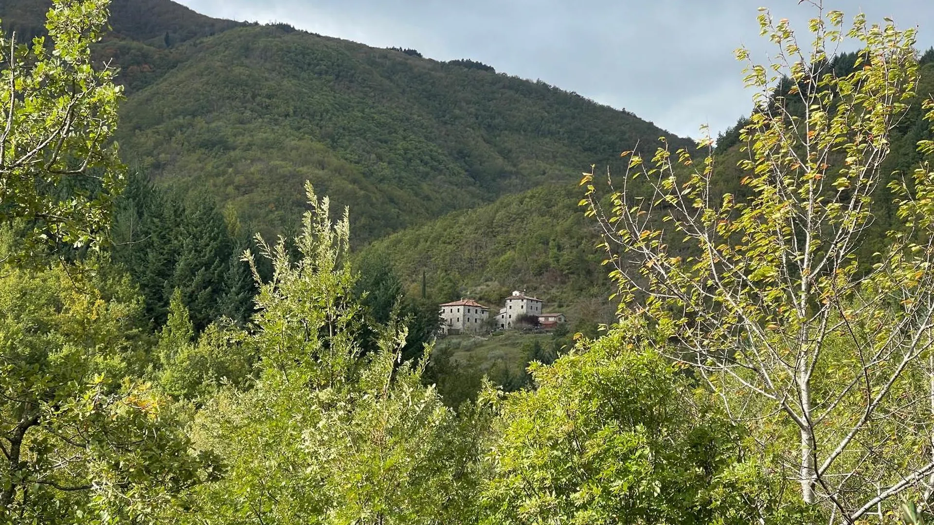 Bio Agriturismo Il Vigno Caprese Michelangelo Country house