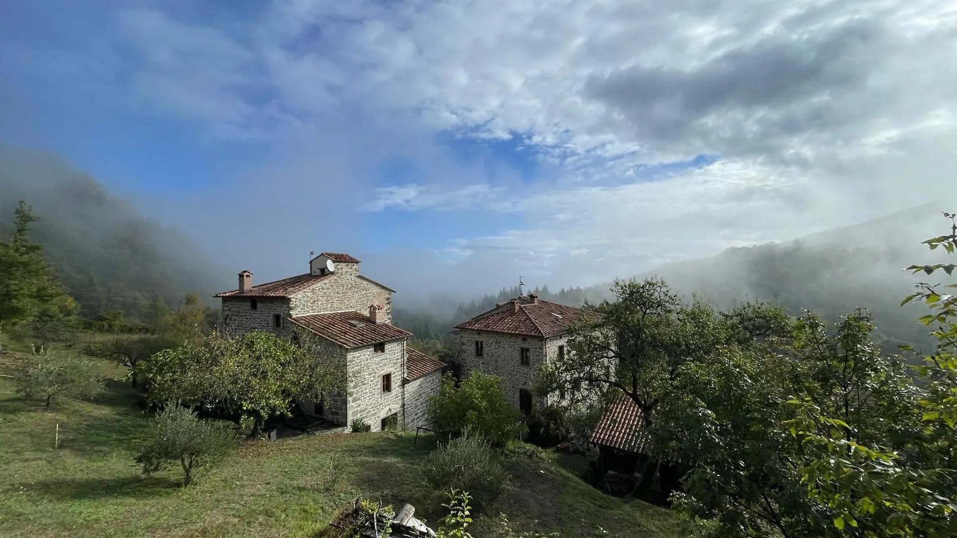 Bio Agriturismo Il Vigno Caprese Michelangelo Country house