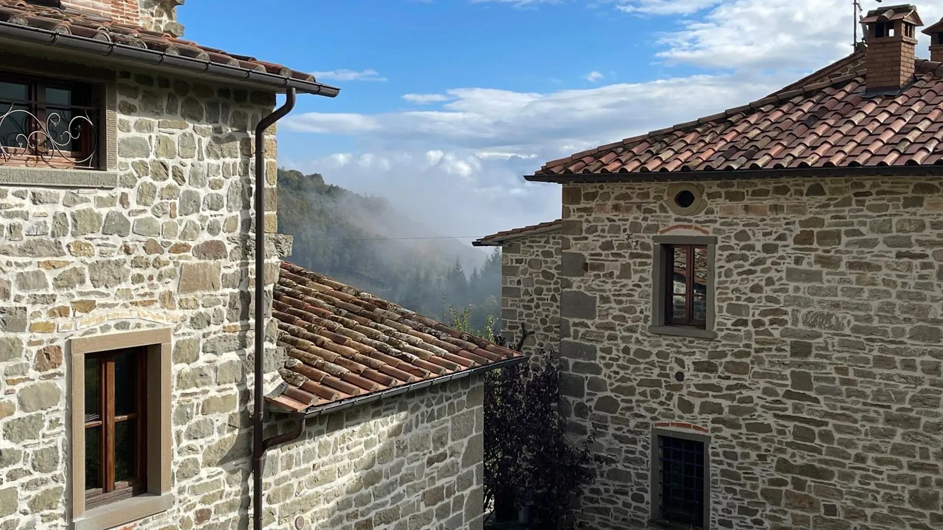 Bio Agriturismo Il Vigno Caprese Michelangelo Italy