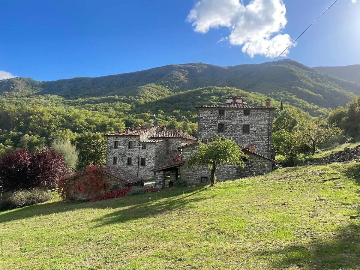 Bio Agriturismo Il Vigno Caprese Michelangelo Country house