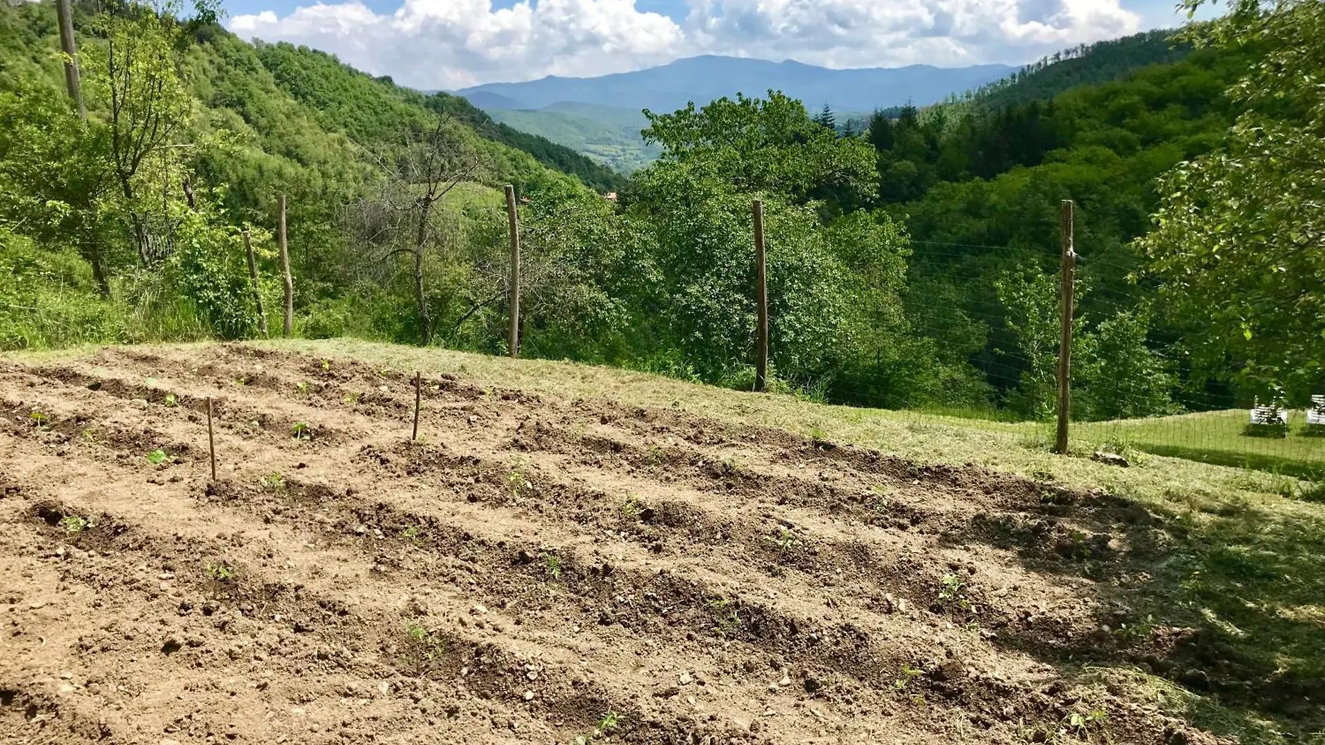 Bio Agriturismo Il Vigno Caprese Michelangelo