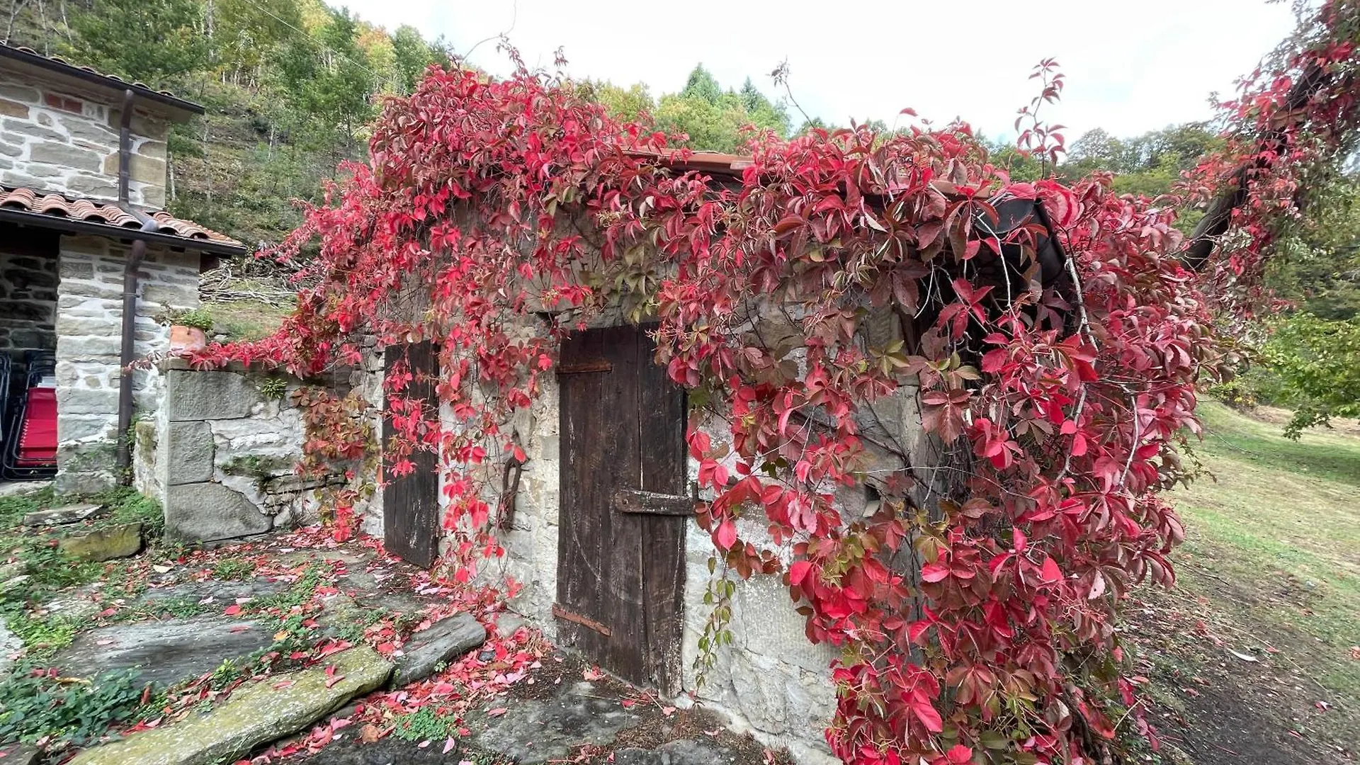 Bio Agriturismo Il Vigno Caprese Michelangelo Country house
