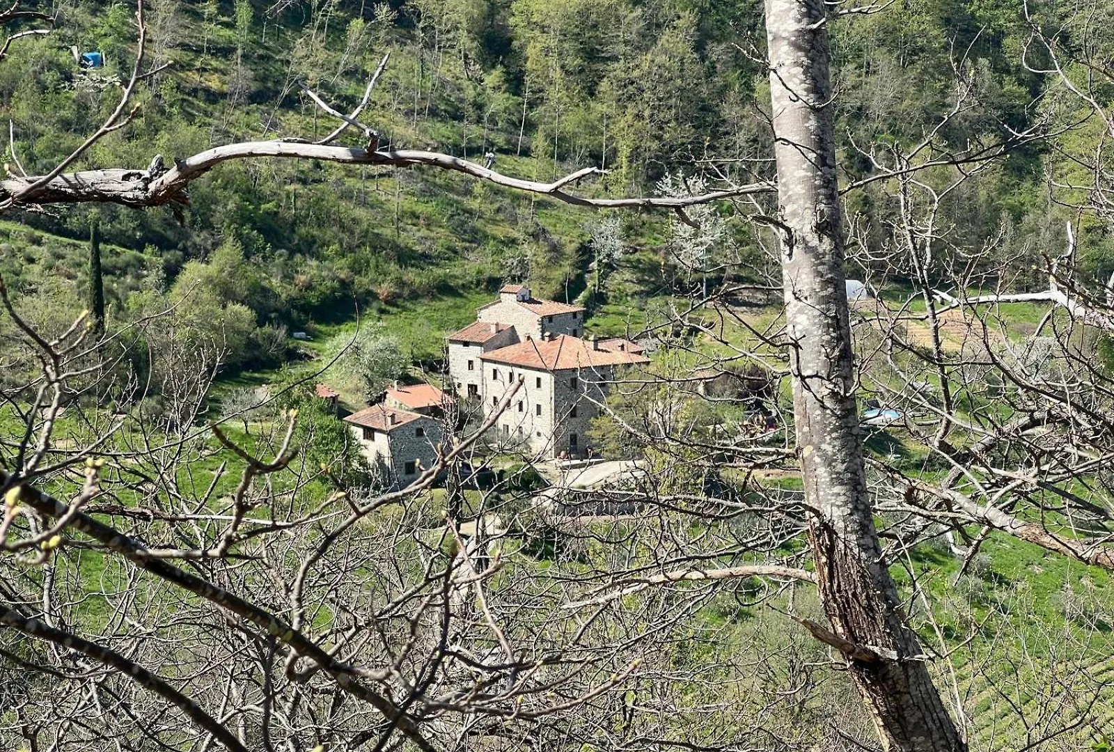 Bio Agriturismo Il Vigno Caprese Michelangelo 0*,  Italy